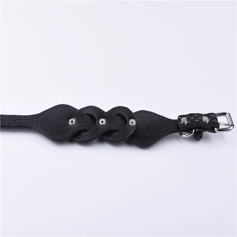 gentle leader target