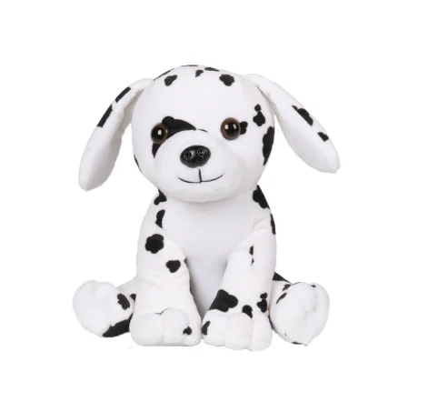 black and white dog teddy