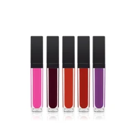 

Fashion 27 Color No logo private label matte liquid lipstick lip gloss