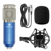 

GAM-800 Professional studio broadcasting recording set condenser microphone ball-type anti-wind foam cap power cable black