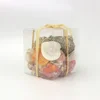 Mixed Home Decorative Shells or Assorted Natural Sea Shell Packed By PVC Box