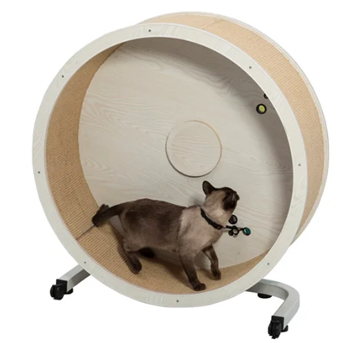 
Custom wholesales cat exercise wheel 