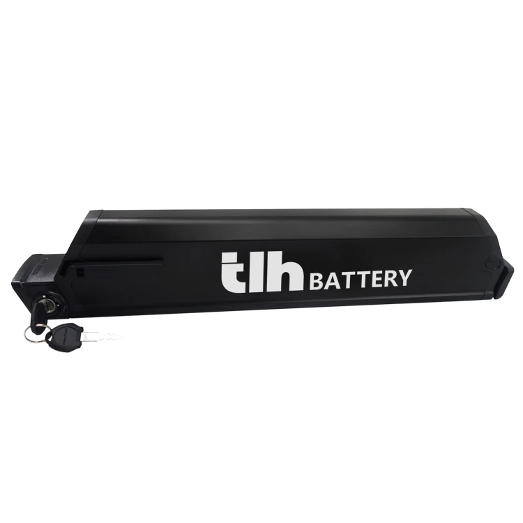 

OEM E-Bike Li-ion Electric Bicycle E Bike Dorado Ebike Battery 48V 13Ah