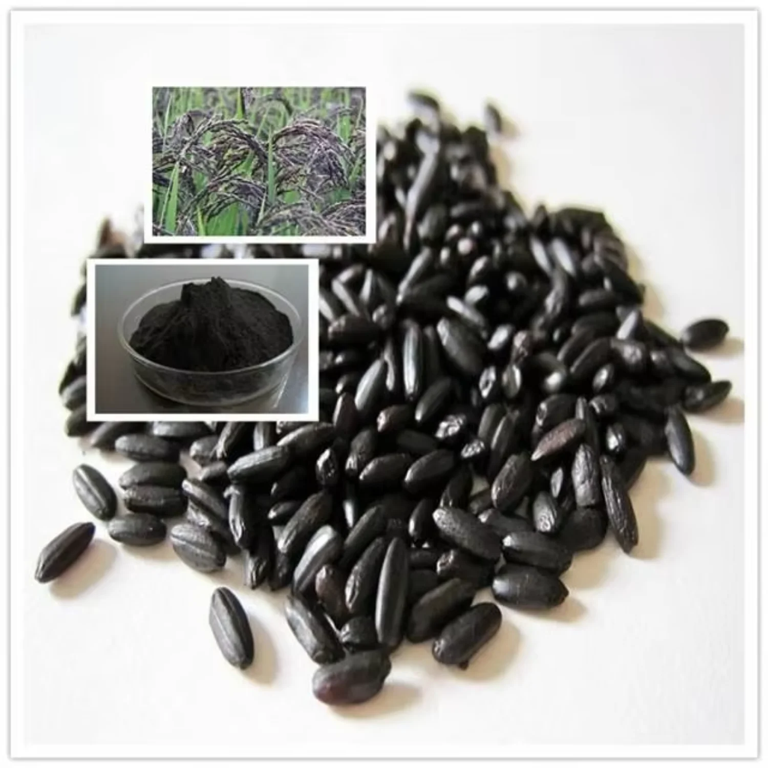 Rice Powder for Wholesale | Bulk B2B Supply Ha1b191368b034e139daa772b9ce3a35fT