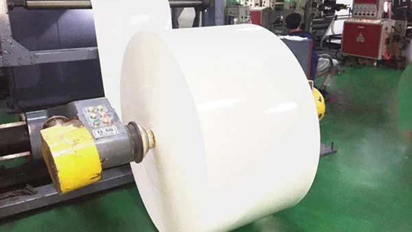 
Food Grade Paper Cup Raw Material Pe Coated Paper In Roll 