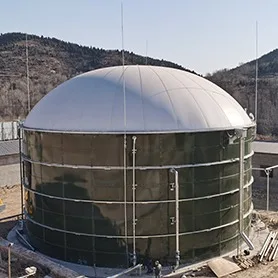Biogas project 