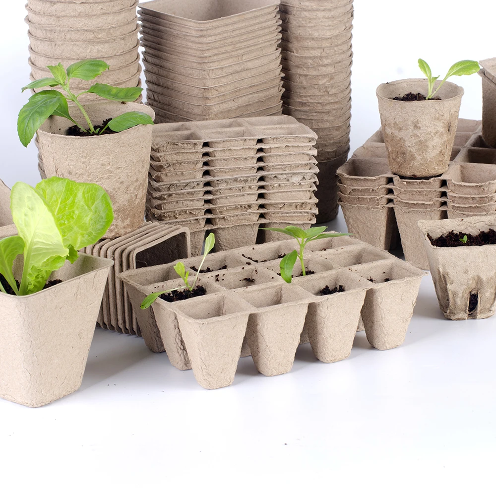 

Horticultural Set 12 Lattice Seedling Cup Environmental Germination Growing Tray Paper Pulp Seedling Nursery Trays