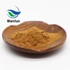 100% Natural Yerba Mate Leaf Extract Powder From Yerba Mate Leaves
