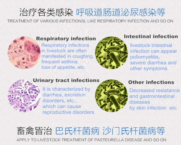 
Vitamin b1 b6 b12 injection b2 hexie Doxycycline HCL and Colistin sulphate powder 
