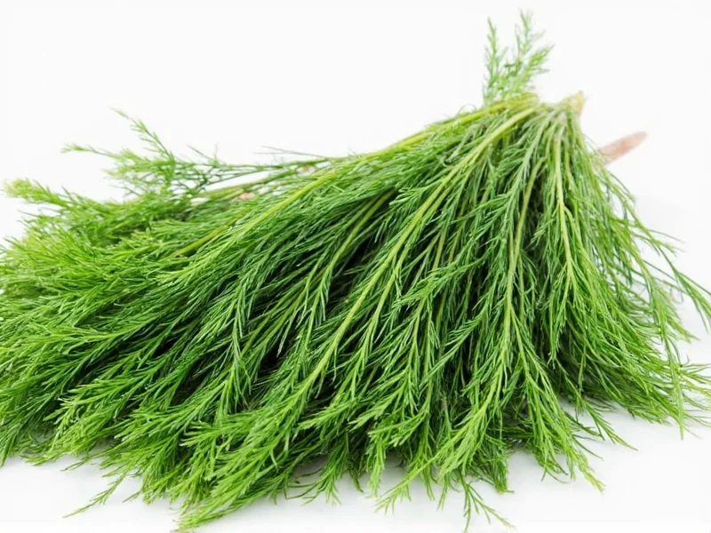 Dry Dill to Fresh Dill Conversion: Exact Substitution Ratios