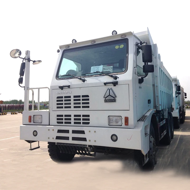5.4.1 Cargo Truck_HOWO_2.jpg