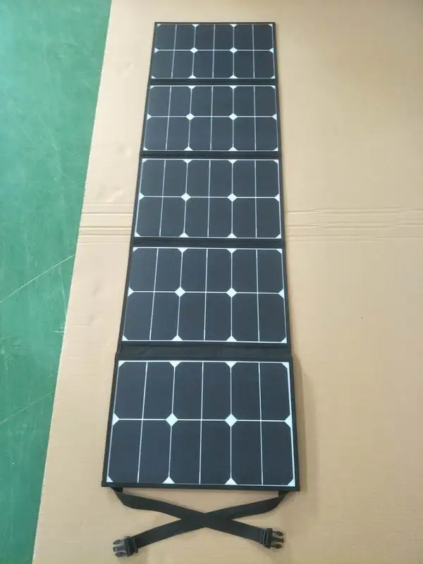 100W (1).jpg