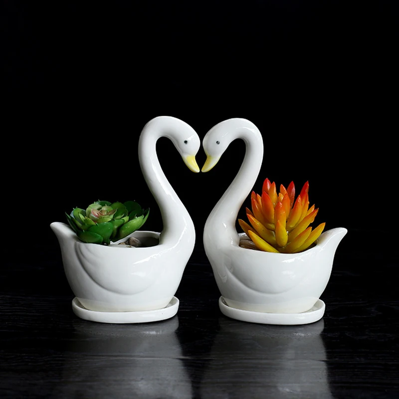 

Healthy green indoor planting white Swan shape ceramic flower pot, Print