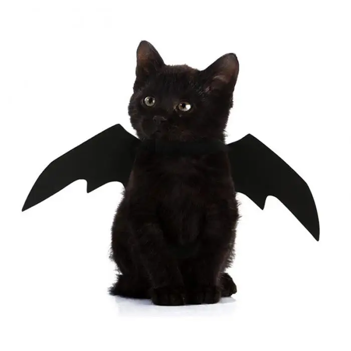 

Puppy Collar Leash Cosplay Bat Costume Puppy Cat Dress Up Accessories Pet Cat Bat Wings for Halloween Party Decoration