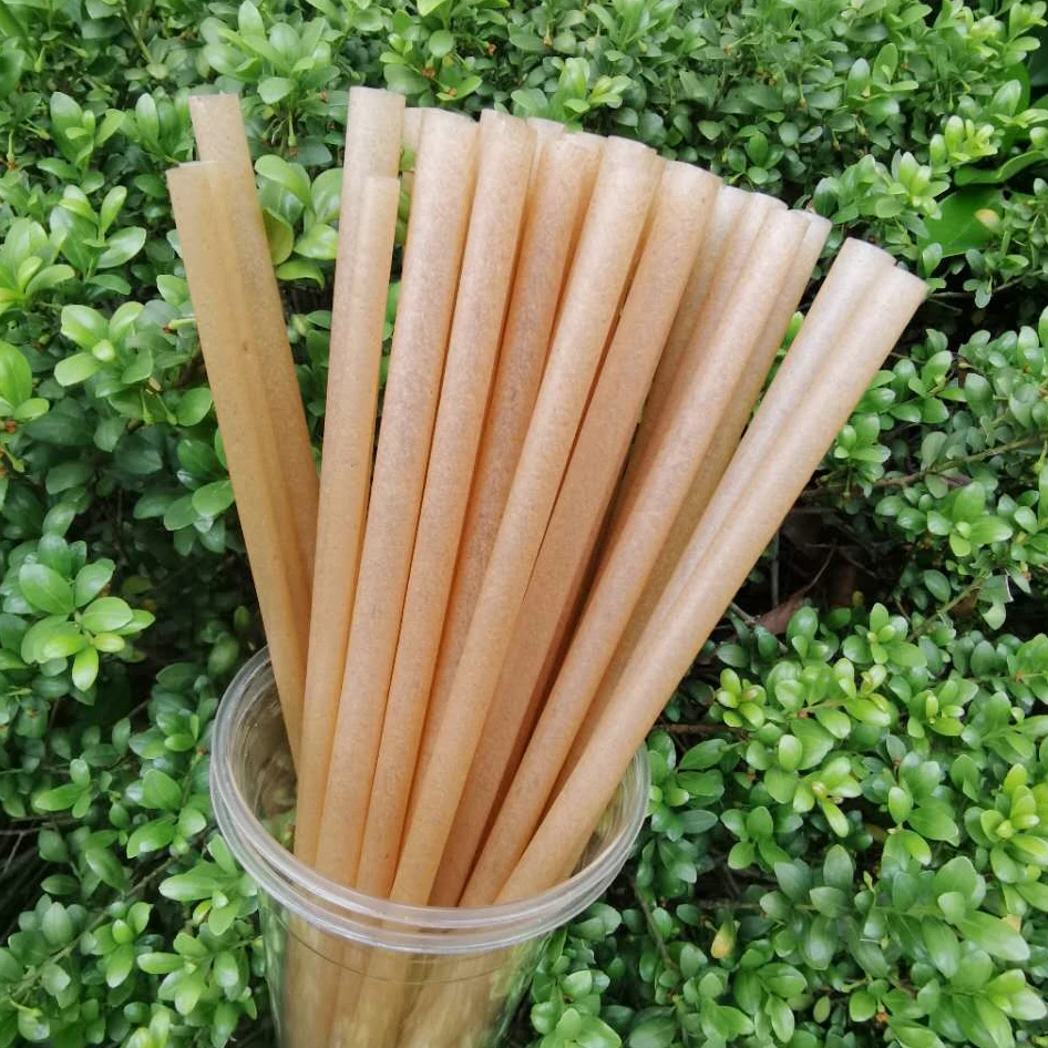 Sugarcane Fiber Straw For Drinking Buy Sugarcane Straws,Biodegradable