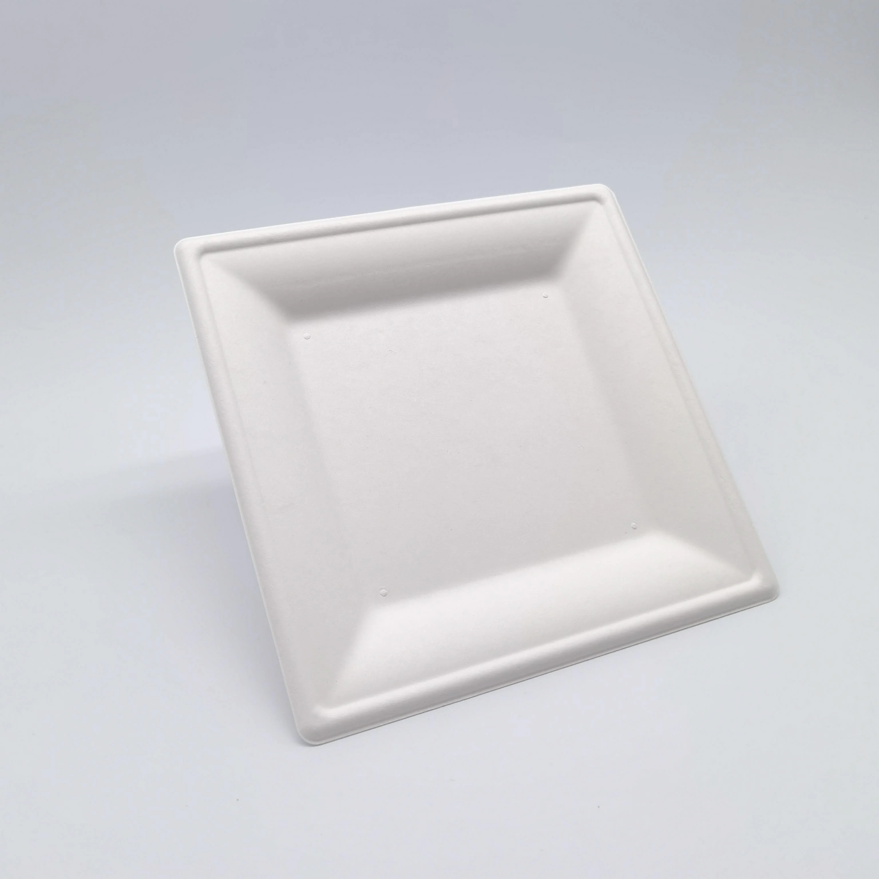 

10" Disposable Bagasse Square Food Holder Tray Biodegradable Packaging Fruit Snack Tray