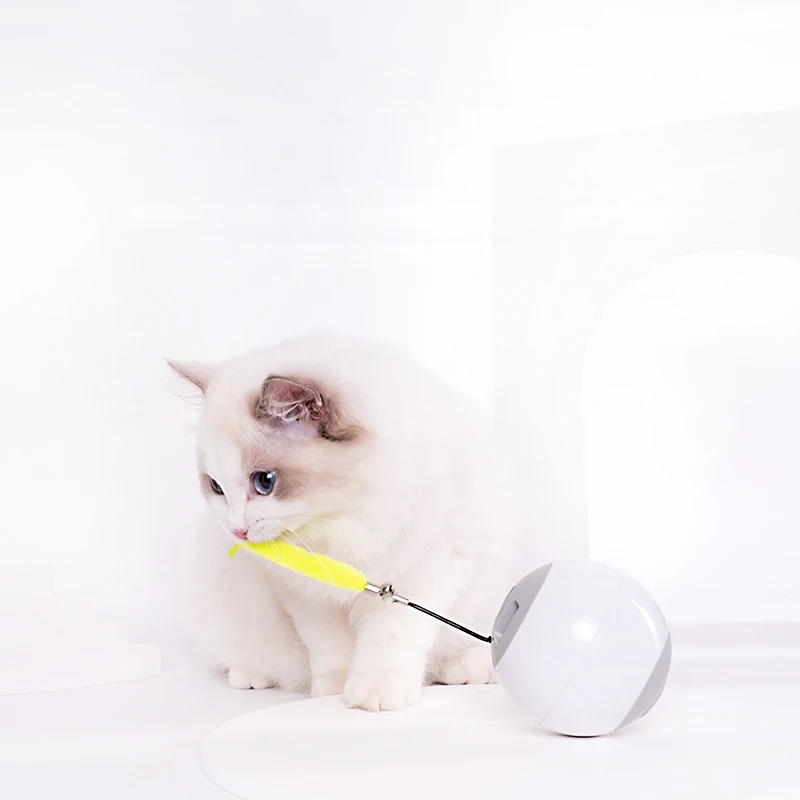 

Wholesales Pet Eco-friendly Cat Electric Christmas Stuff Toy Ball Set New Funny Magic Cat Toys, White / yellow