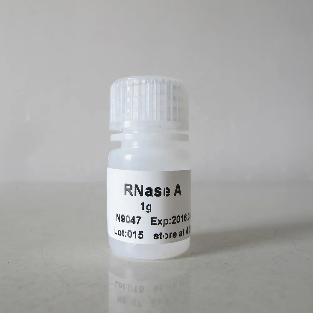 N9047 RNase A