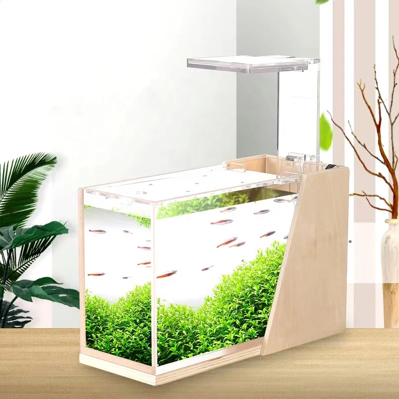 

Mini Office Desktop Aquarium Acrylic Mini Fish Tank With LED Touch Light