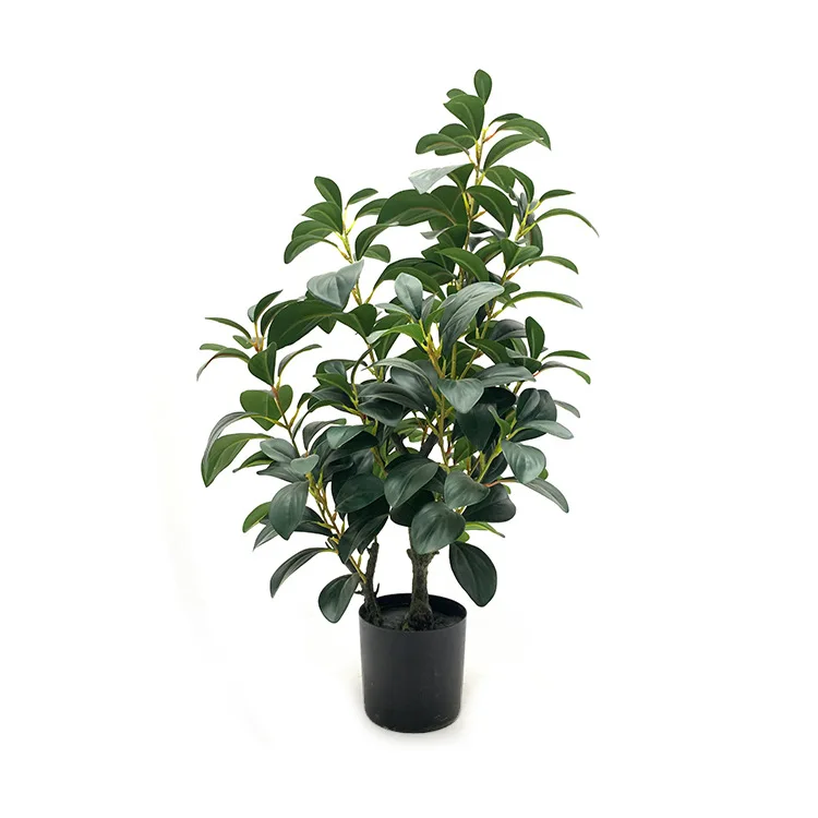

Wholesale Indoor Artificial Ficus Trees Bonsai House Plant Potted Ficus Trees, Green