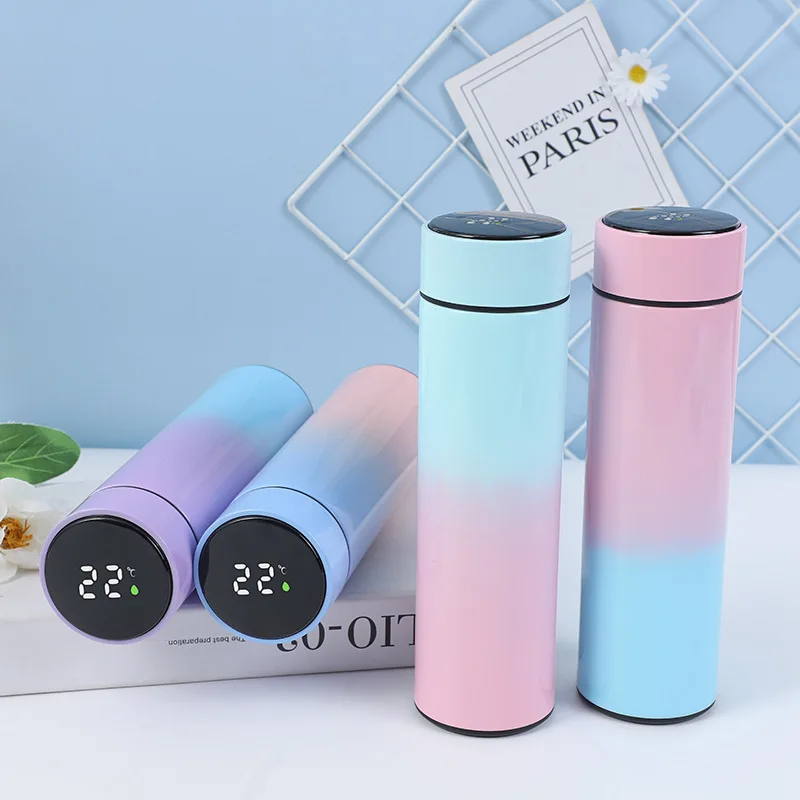 

Gradient 16oz Smart Thermos with Temperature Display Stainless Steel Water Bottle Vacuum Flasks & Thermoses Transparent Modern