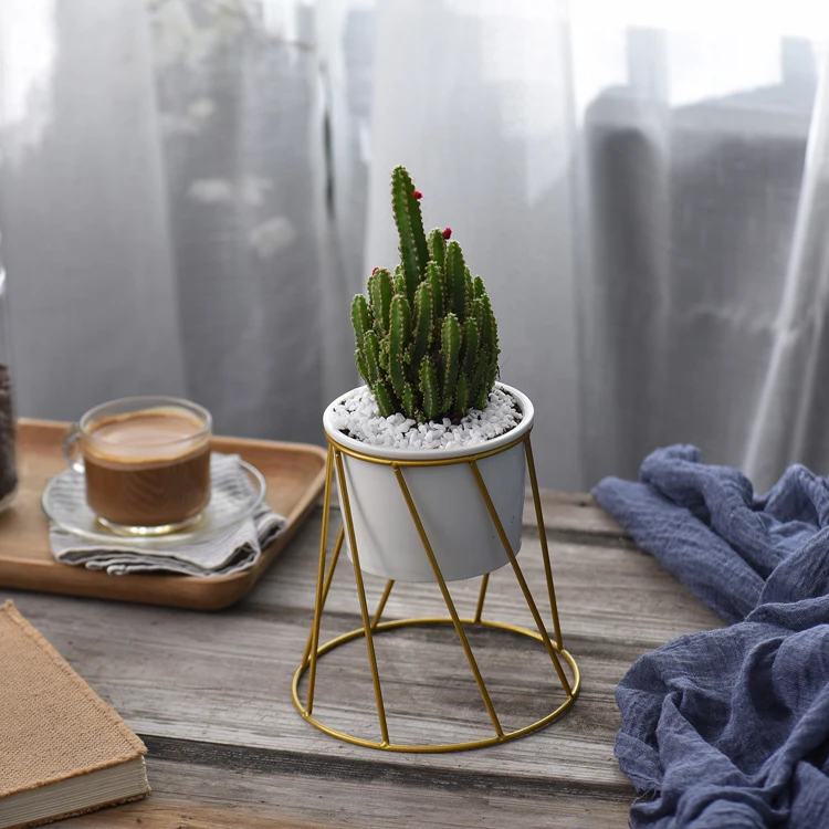 

Wholesale Hot Sale Large Flower Pot Contemporary Style Ceramic Flower Pot For Indoor