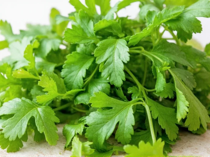 Cilantro and Parsley Benefits: Science-Backed Health Effects