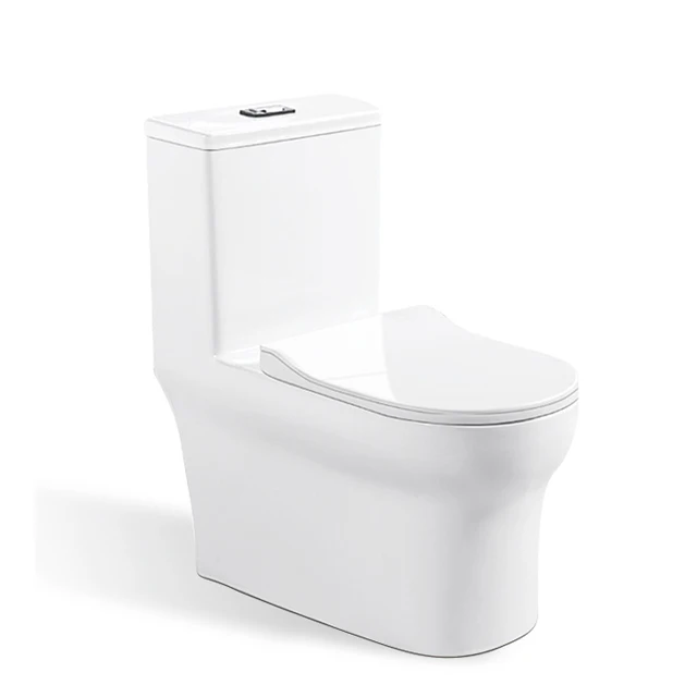 
Upper Cistern vitreous china S trap Eddy siphonic one piece toilet bathroom 