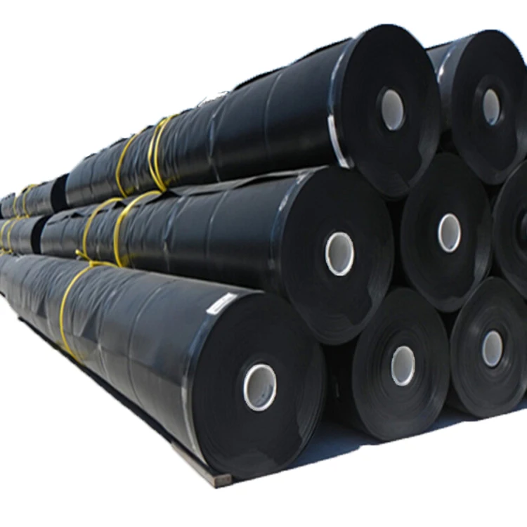 Geomembrane Fish Tank