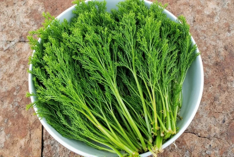 Comparison Between Dill Leaves and Dill Root