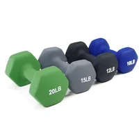 

2020 new style Fitness Cast Iorn Neoprene Hex Dumbbells For Bodybuilding