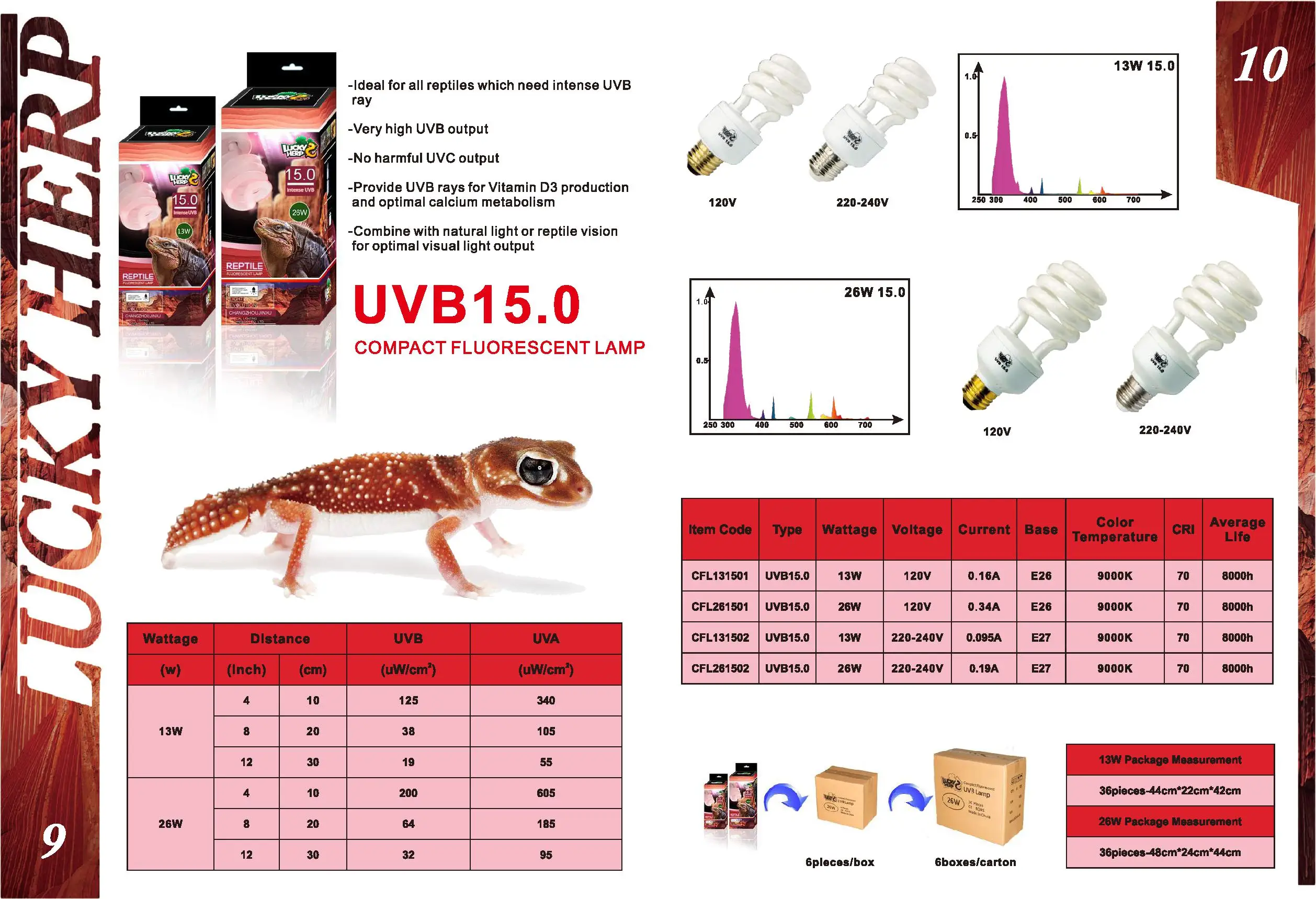 updated catalog-2019-6.jpg