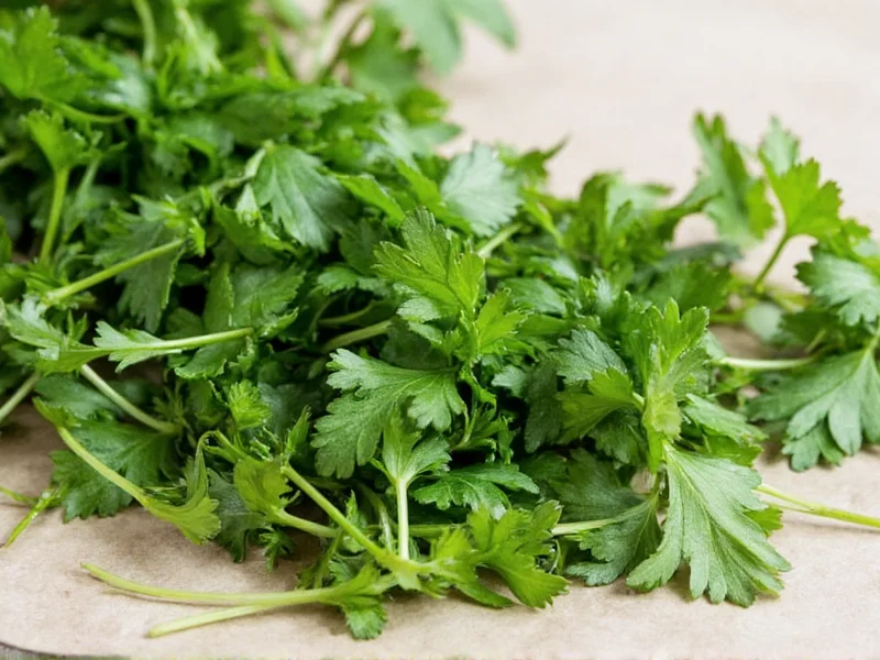 Dried Parsley to Fresh Conversion: Exact Measurements Guide