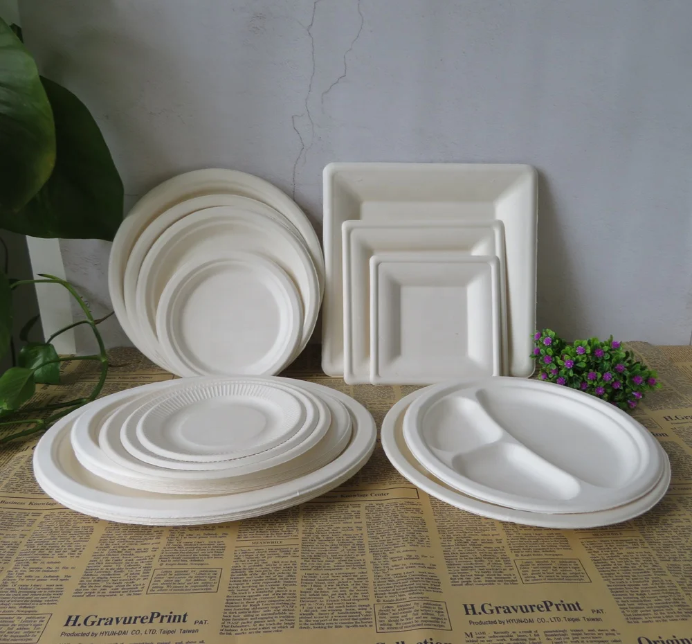 

Biodegradable Disposable Sugarcane Bagasse Plate Dishes