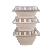 

Compostable Sugarcane Disposable Bagasse Pulp Square Bowl and plate