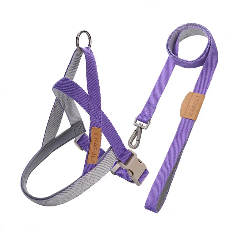 

OEM wholesale fashion pet supplies designers colorful luxury reversible h harness and dog collar braided rope leash set