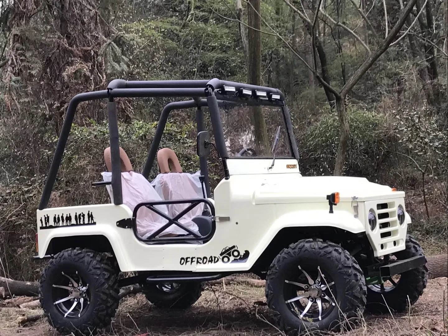 热卖4 座电动吉普车 3000w utv 越野车成人