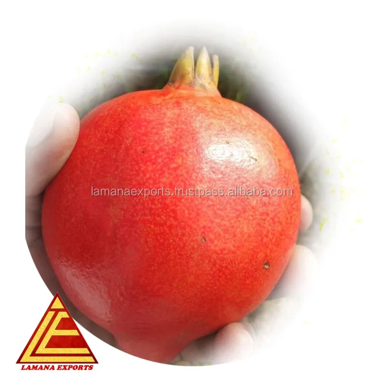 
Fresh Pomogranate Fruit India Export for Thailand Malaysia Singapore Vietnam 2020 CROP Pomegranate COMMON 