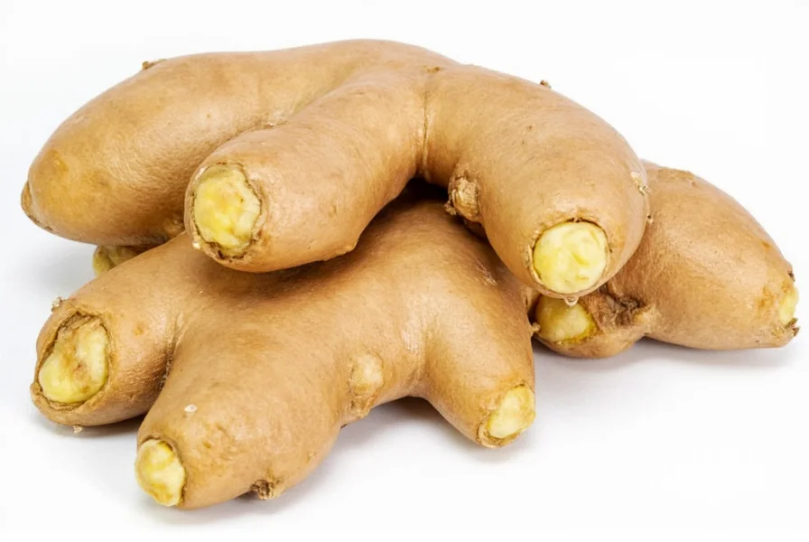 Dog owner carefully measuring fresh ginger powder into dog's food bowl
