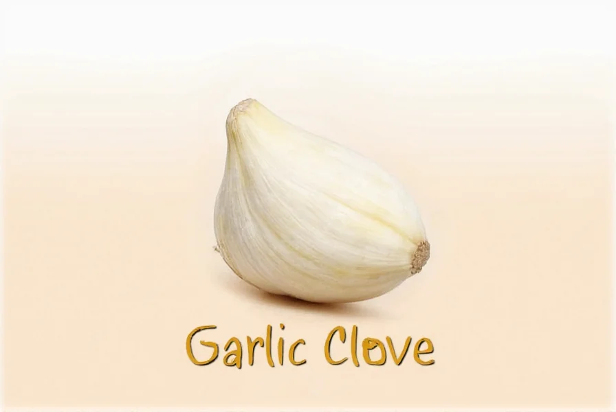 what is a garlic clove