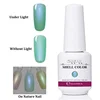 2019 Shell Gel Soak Off Nail Polish Color Changing Structure Carving Gel for Nails Shell Glitter nail polish UV LED Galaxy Color