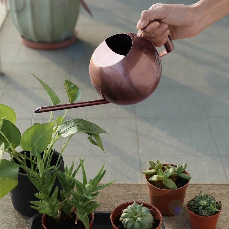 

1000ml Stainless Steel Metal Round Ball Garden Watering Can