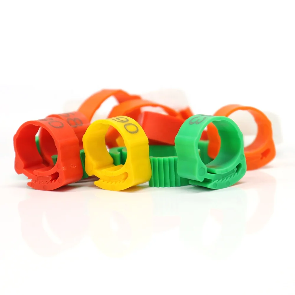 

GSF Colorful Chicken Leg Bands Plastic Open Chicken Foot Ring For Chicken With Serial Number//, Free