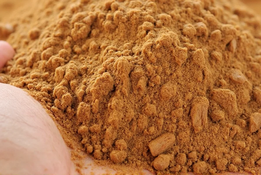 Where Is Cinnamon Grown: Top Producing Countries Revealed