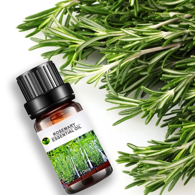 

Wholesale 10ml CBD rosemary hair essential oil for hair growth, Colorless