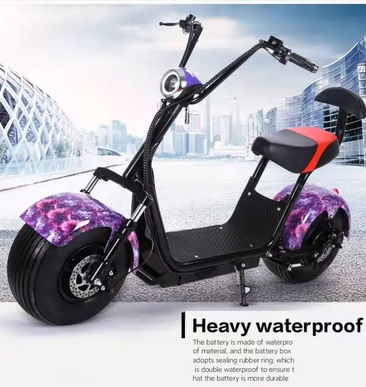 

Professional Pedals Electric Scooter With Rain Cover