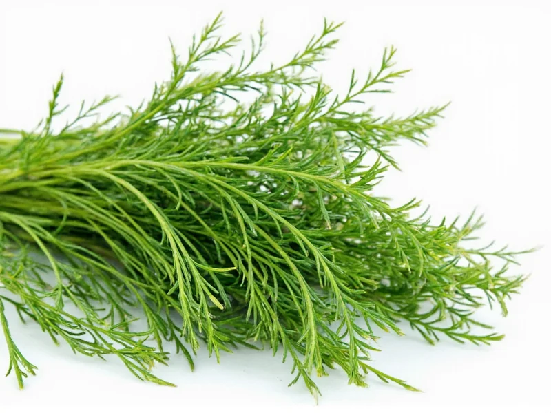 Best Substitutes for Dill Weed: Practical Cooking Alternatives