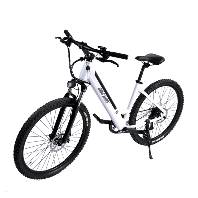 

christmas gift Folding electric bikes light weight fat tire ride bi cycle ebike mountain bicycle shimano 7Speed, White