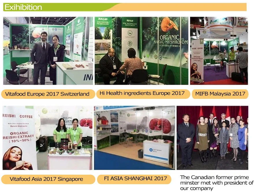 ganoderma exhibition.jpg