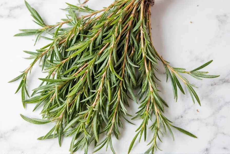 Microwaving Rosemary Sprigs Between Paper Towels